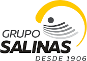 Grupo Salinas logo