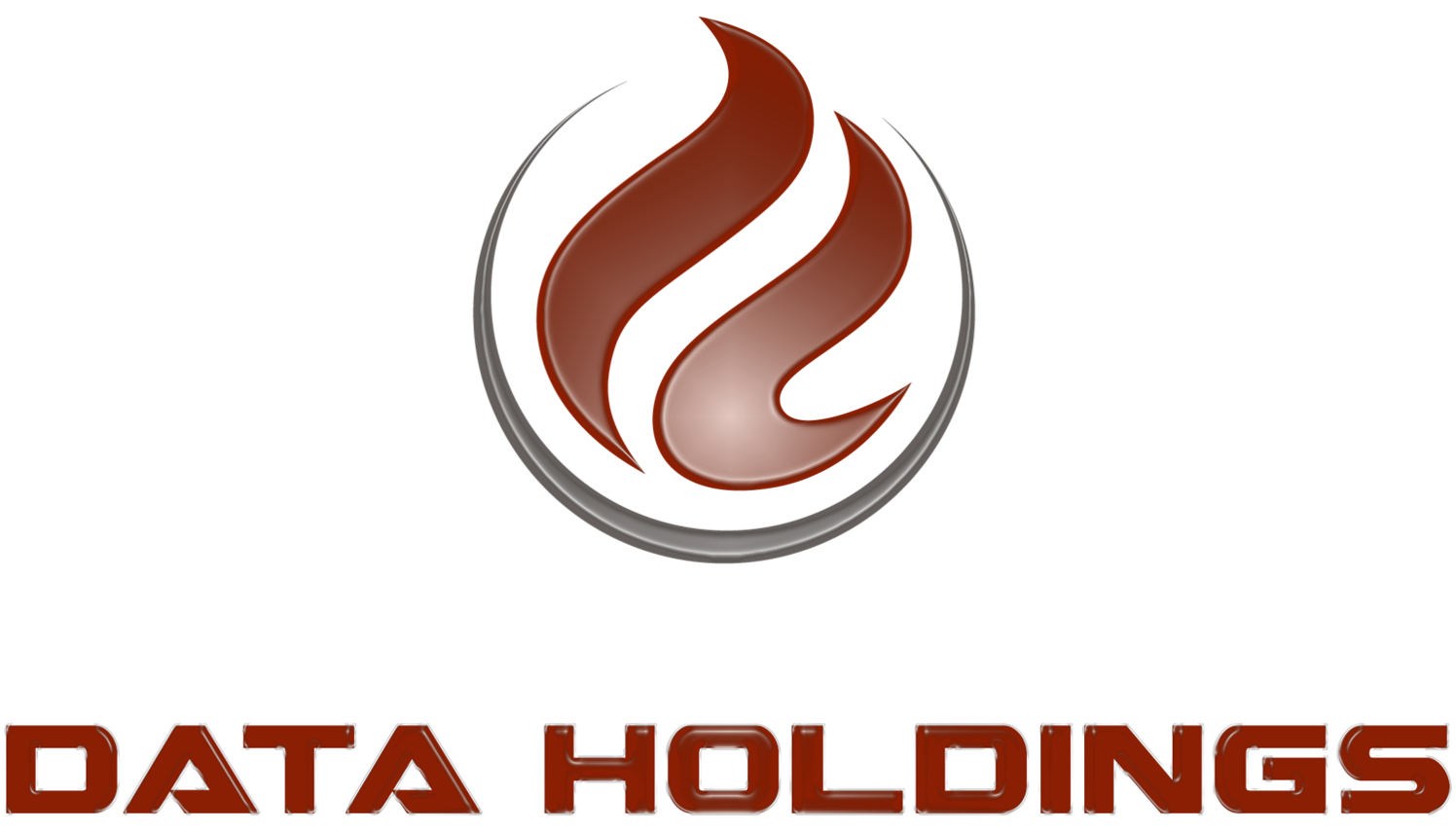 Data Holdings Logo