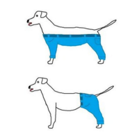 Graphic of a cartoon dog with pants on four legs and also on two.